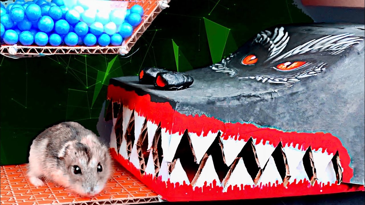 🐹🐲 Лабиринт с ловушками для хомяков 😱[ПОЛОСА ПРЕПЯТСТВИЙ]😱 + ДРАКОН и ЗМЕЯ