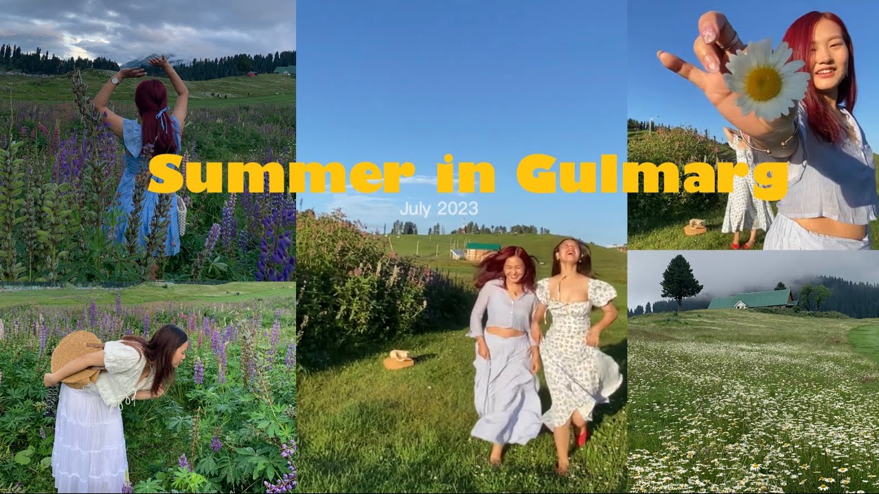 Summer in Gulmarg, Kashmir | Fairyland |Lupine season⛰️🪻🌼🧚‍♀️