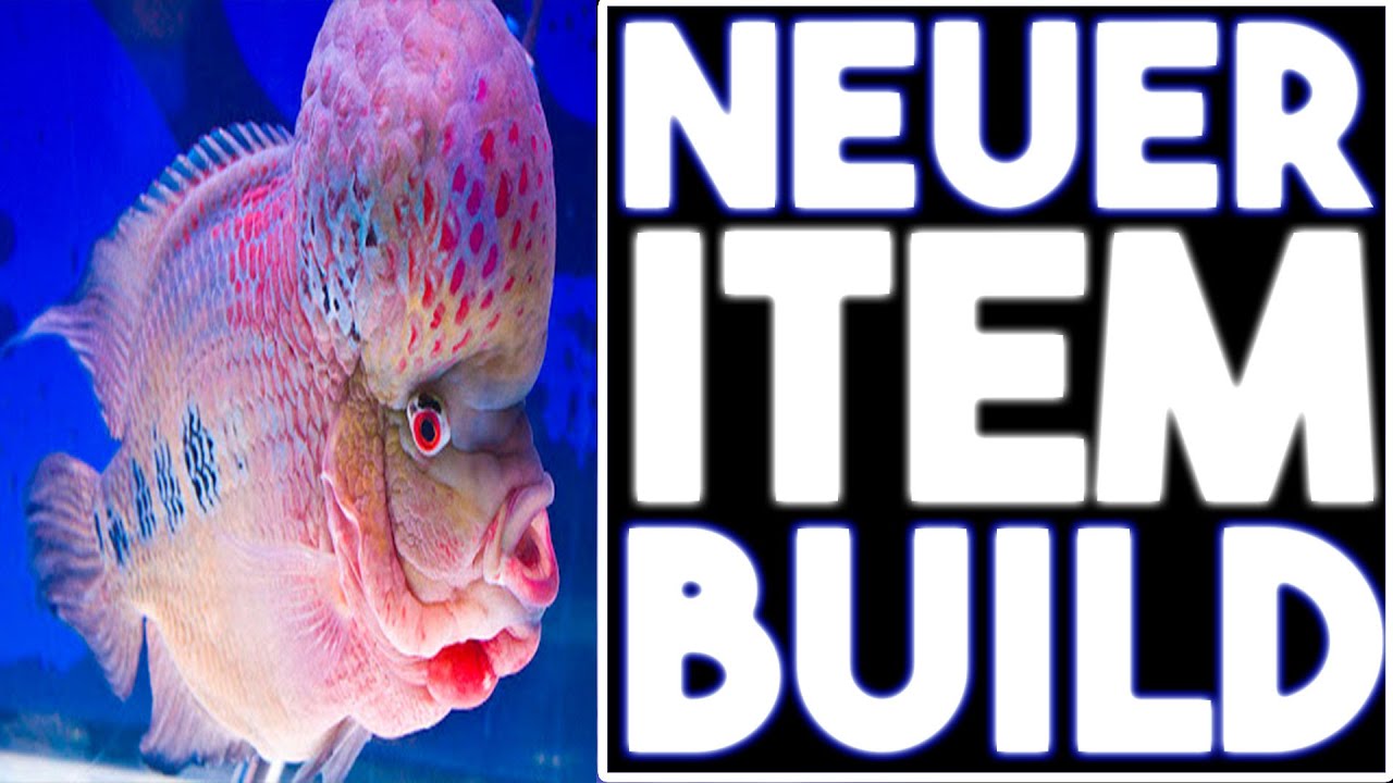Neuer Fizz Itembuild - Schnell und glitschig