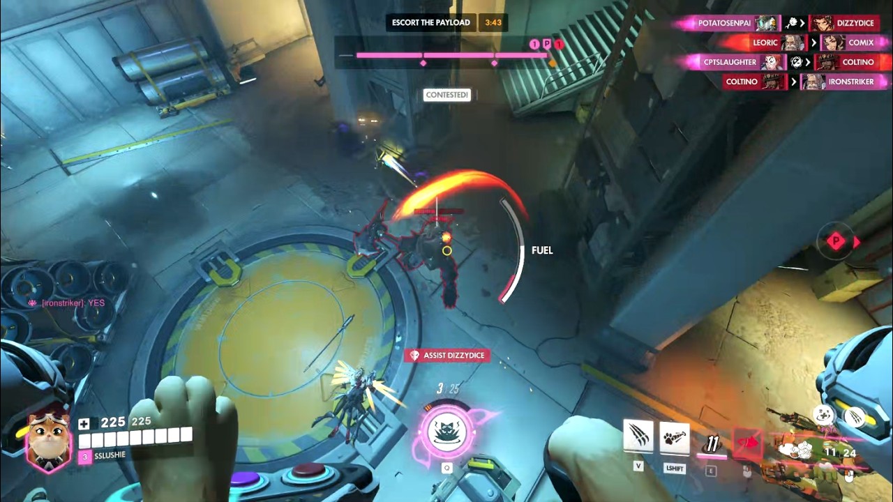Plotting and Scheming with Jetpack Cat (FULL VIDEO)