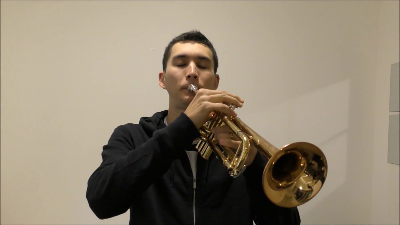 Beauty And The Beast (Trumpet)