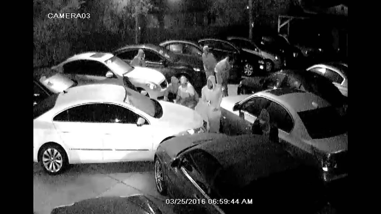 Tampa Police Investigating Group of Brazen Auto Theft Suspects