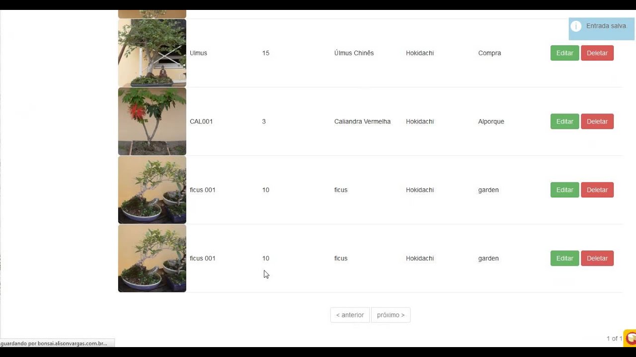 primeiros passos site mybonsai.com.br