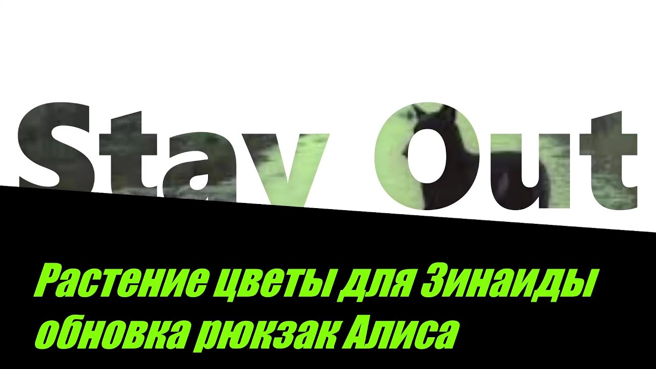 ⭐Stay Out⭐Сталкер-Онлайн👍 Цветы растение Зинаиде . Обновка рюкзак Алиса .