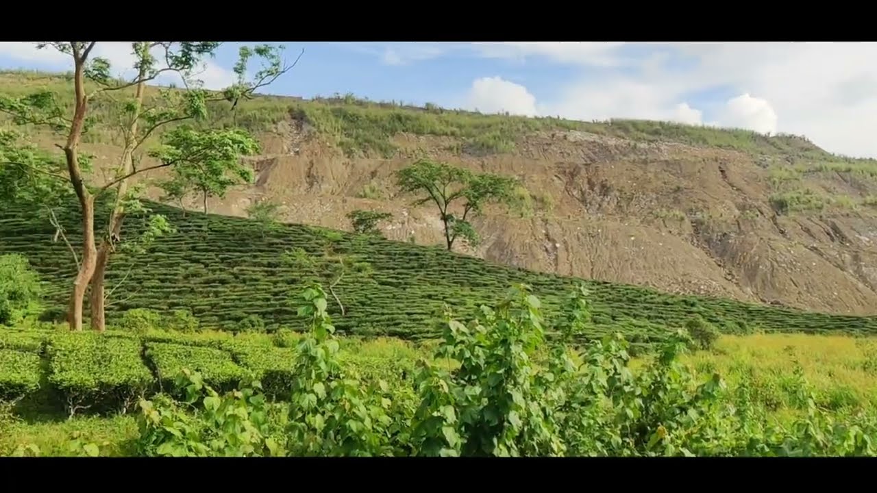 Ledo Coal Mine Hill | 2022