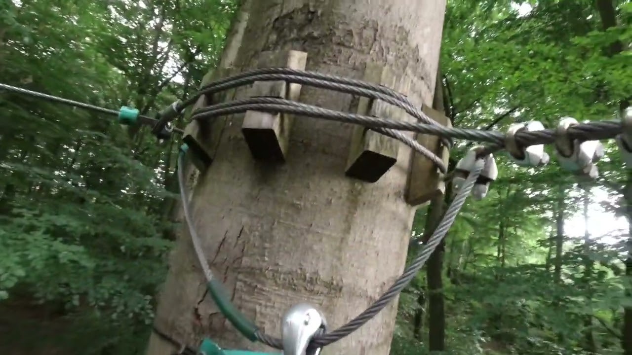 POV: Rundgang durch Gr&uuml;n