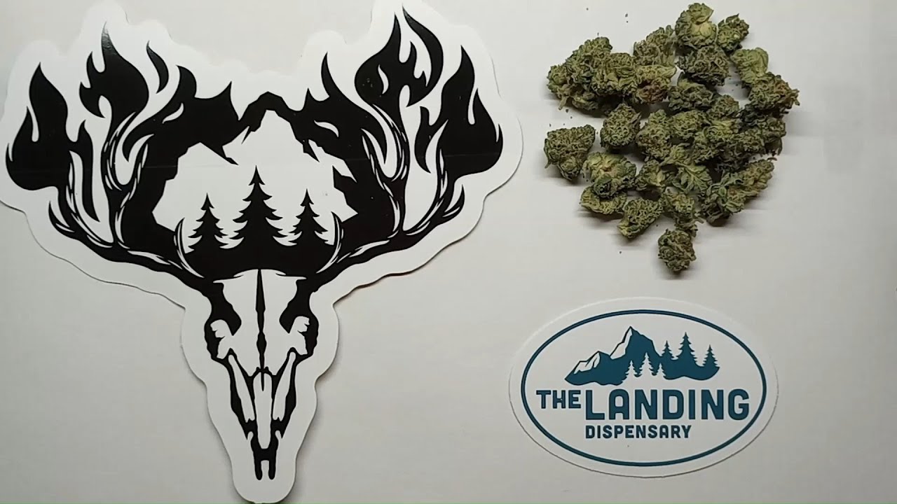 Hillfire Motor Cake Flower Review