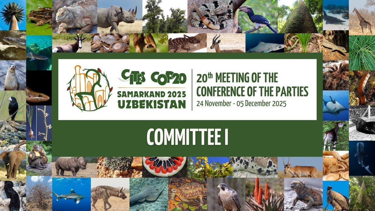 CITES CoP20 - Committee I (27 November - Morning)