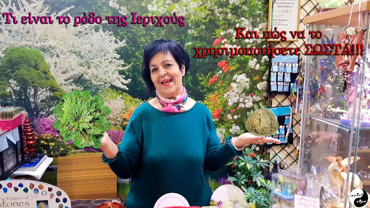 Πώς να χρησιμοποιήσετε το ρόδο της ιεριχούς