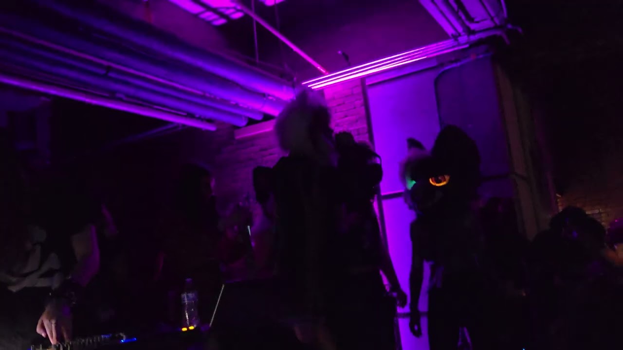 EVIL ASF - Cortisa Star (Live at the Underground)