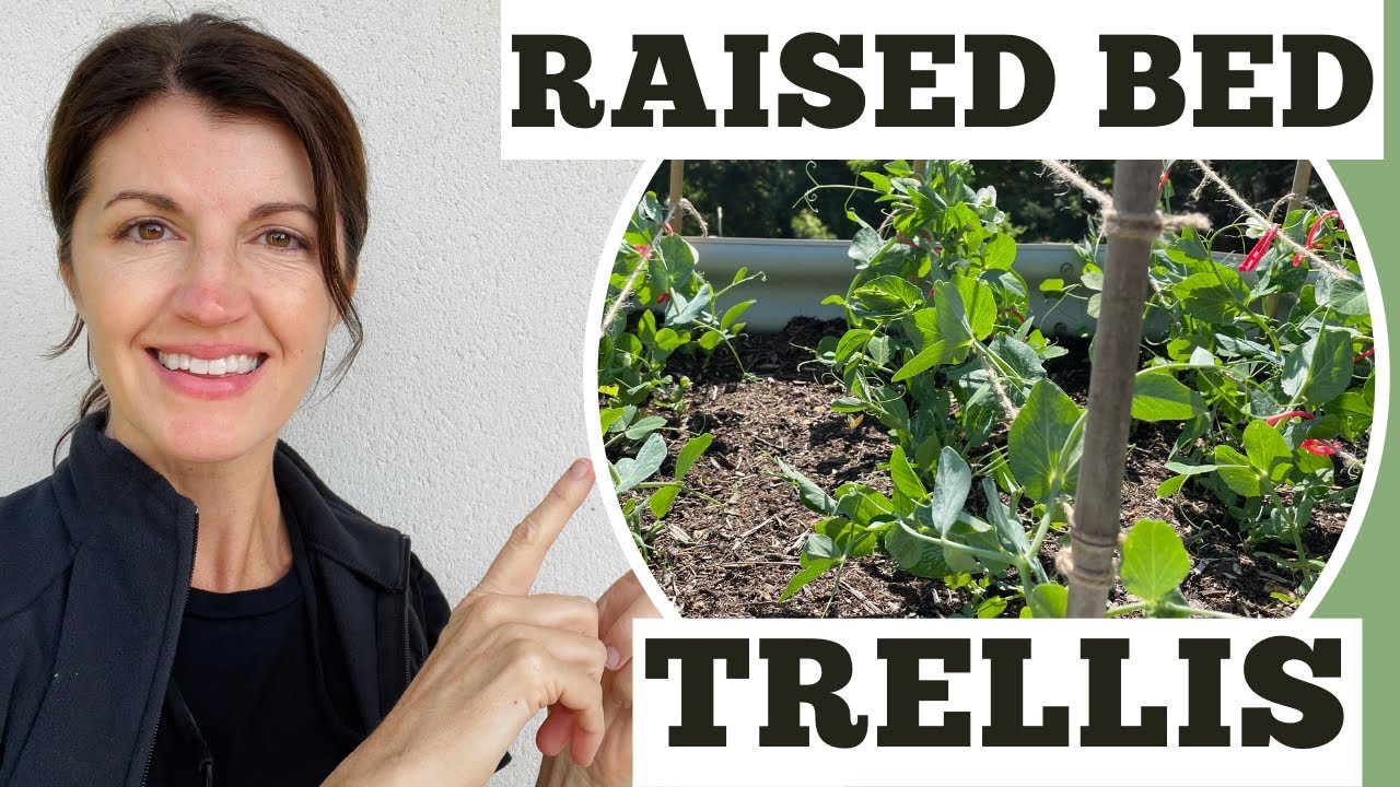 RAISED BED TRELLIS - How to Make a Pea Trellis for Raised Beds