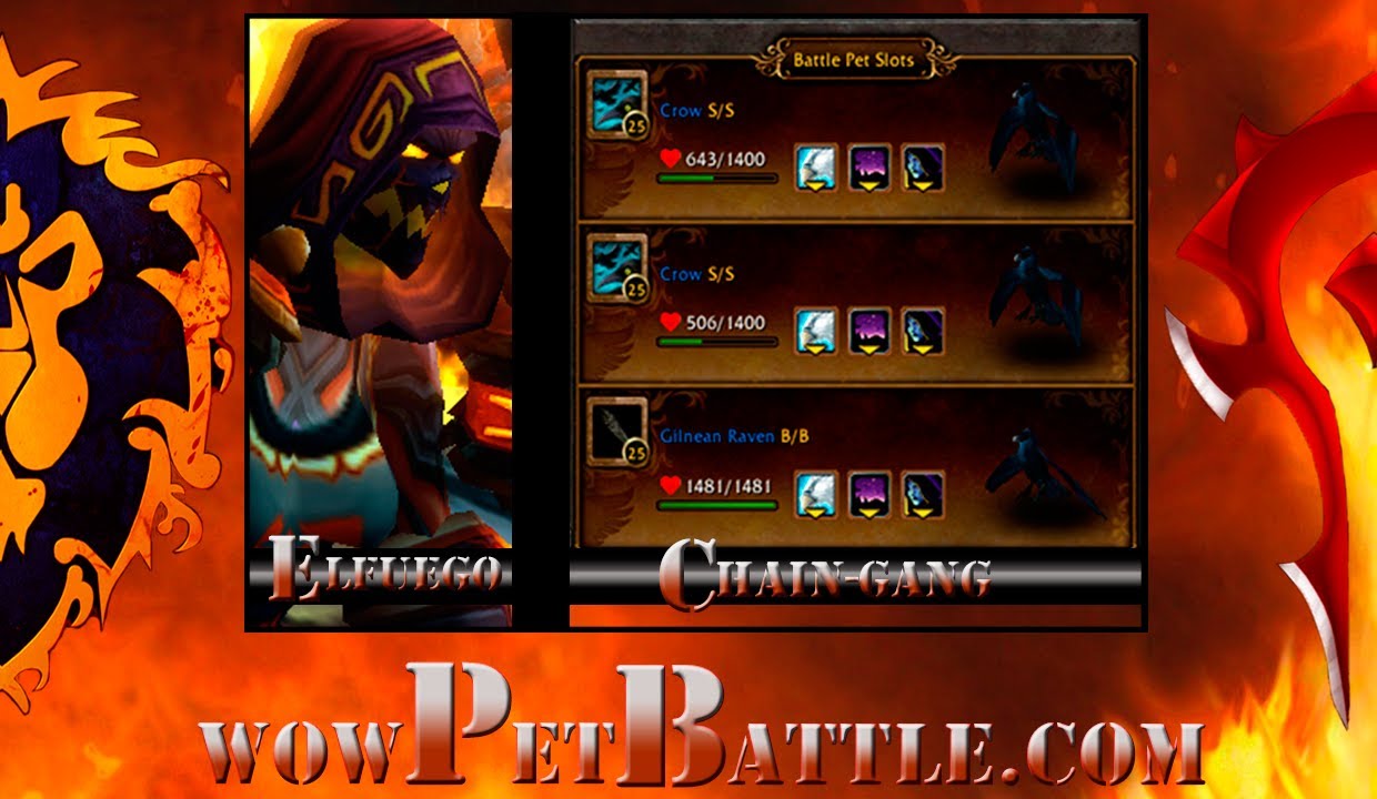 Best Wow Pvp Pet Battle Team Chain Gang wowpetbattle.com