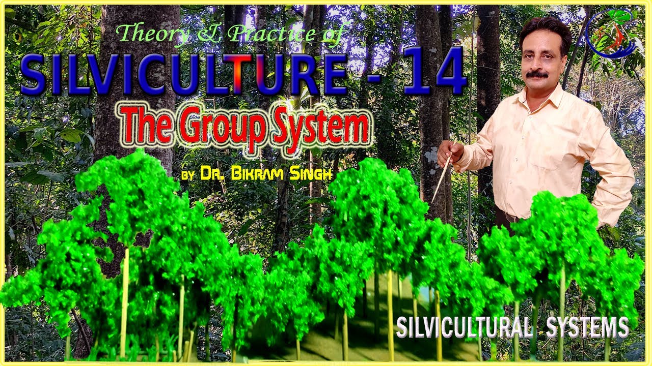 Silviculture 14 : The Group System (Silvicultural Systems) by Dr. Bikram Singh