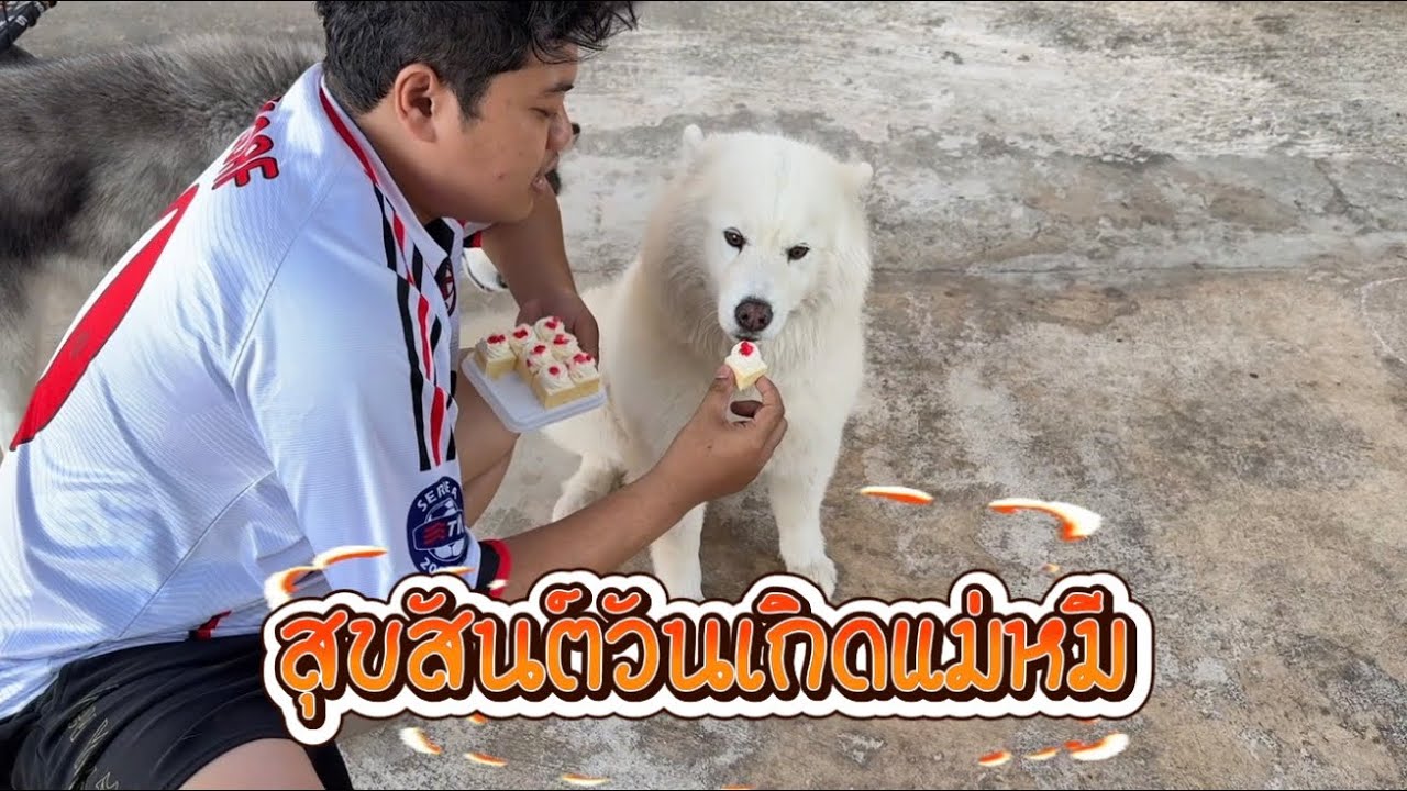 สุขสันต์วันเกิดแม่หมี | ข้าวเหนียวขี้กะโปกหมา