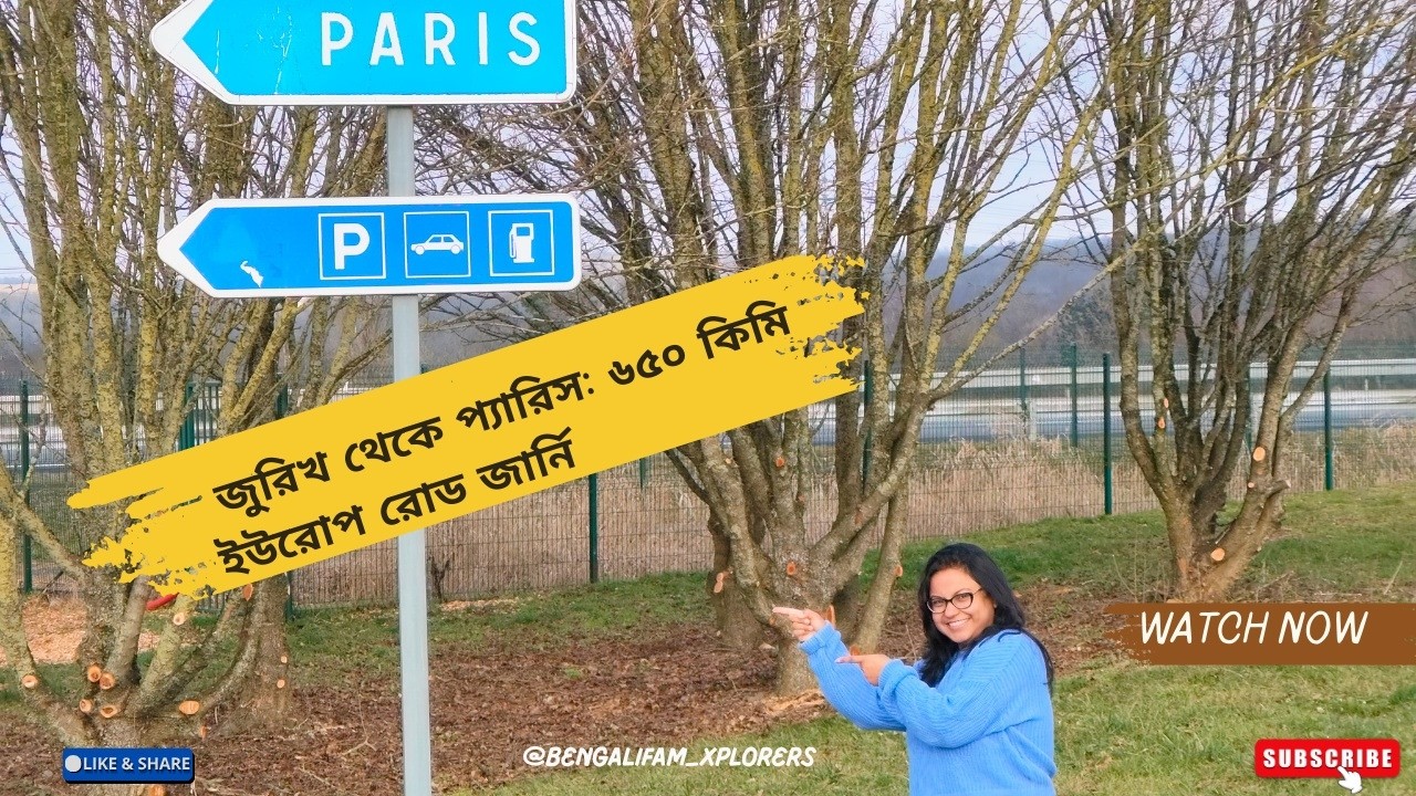 Why Your Zurich to Paris Road Trip Isn't as Scenic as You Think|জুরিখ → প্যারিস রোড ট্রিপ (৬৫০ কিমি)