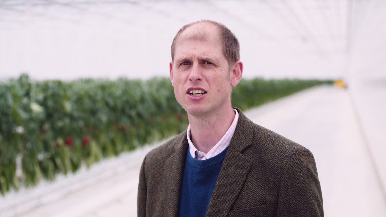 ESB Energy Business Solutions delivering a world first for decarbonisation