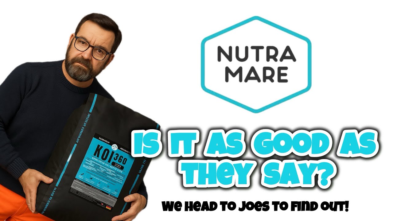 Лучший ли он? Корм ​​для кои Nutramare 360 ​​— хорошая цена, но как он себя показывает???