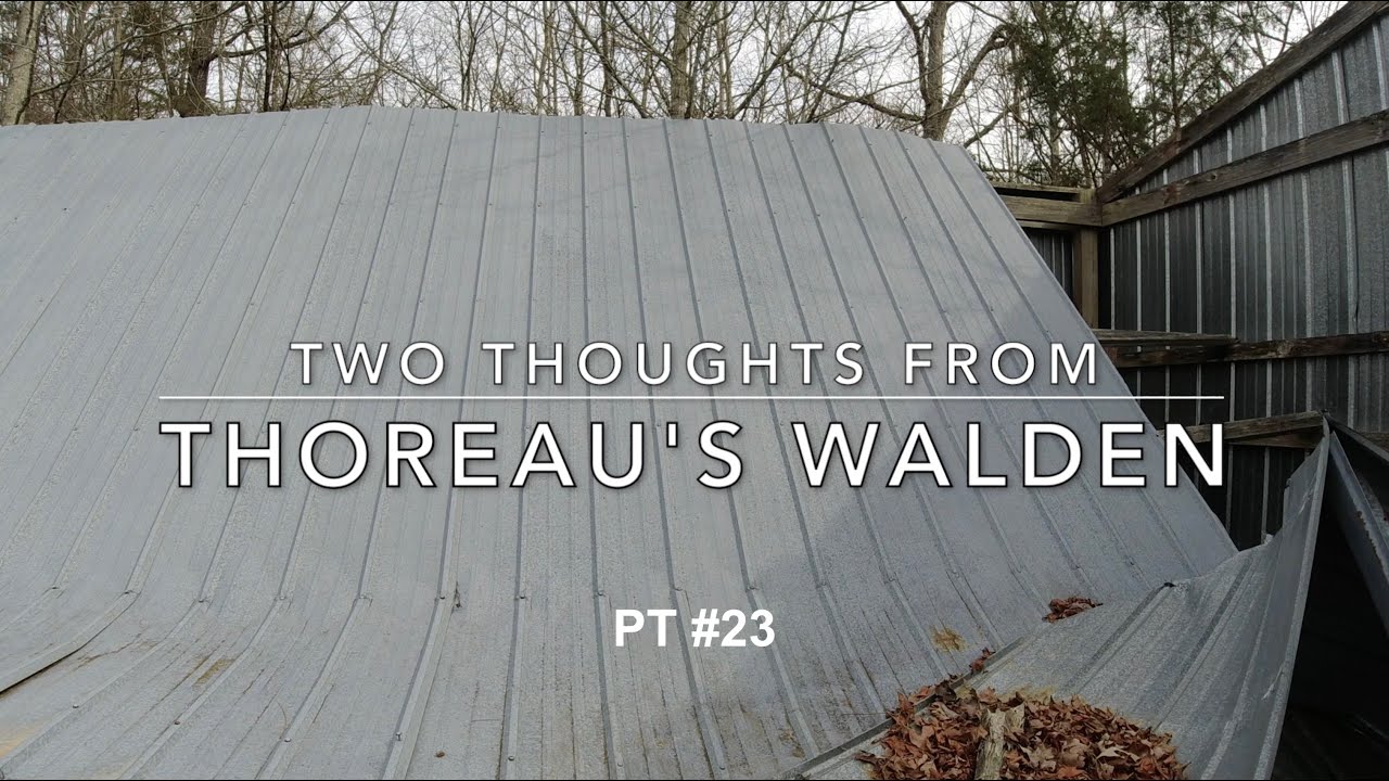 Thoreauvian Thoughts from the Cabin | Walden | PT23