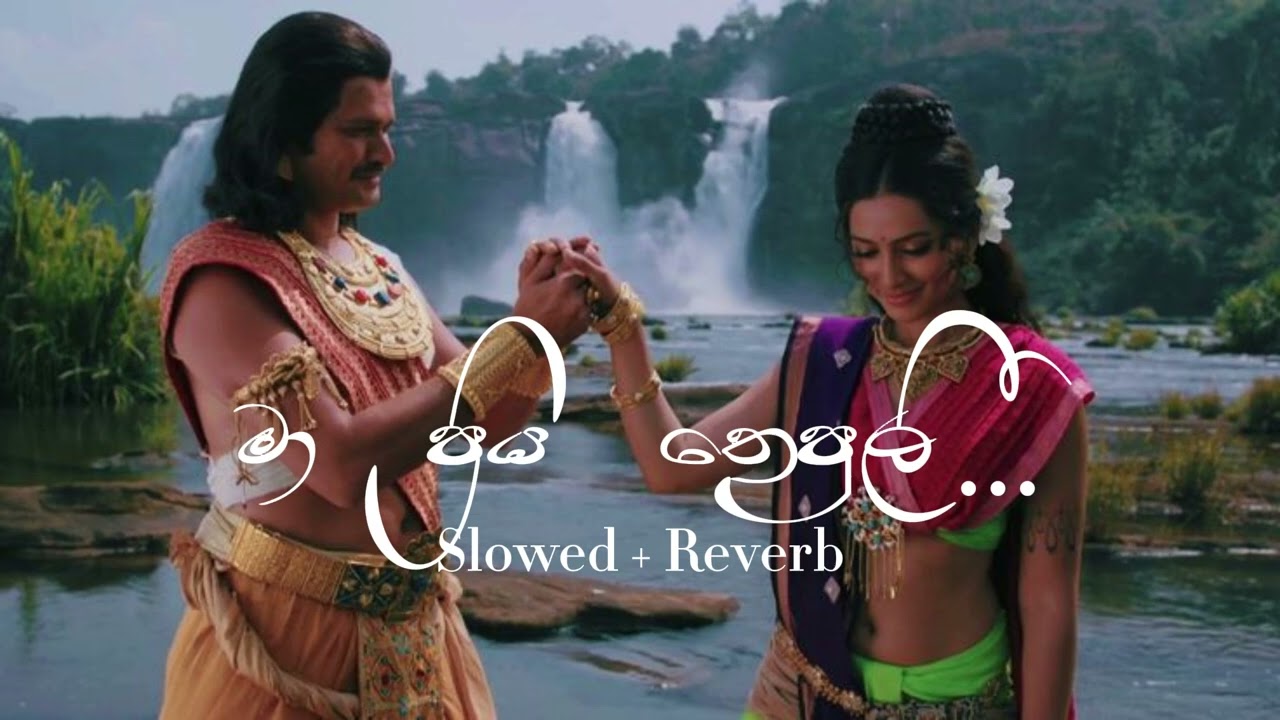 Ma Priya Thepuli (මා ප්&zwj;රිය තෙපුලි  Slowed + Reverb )