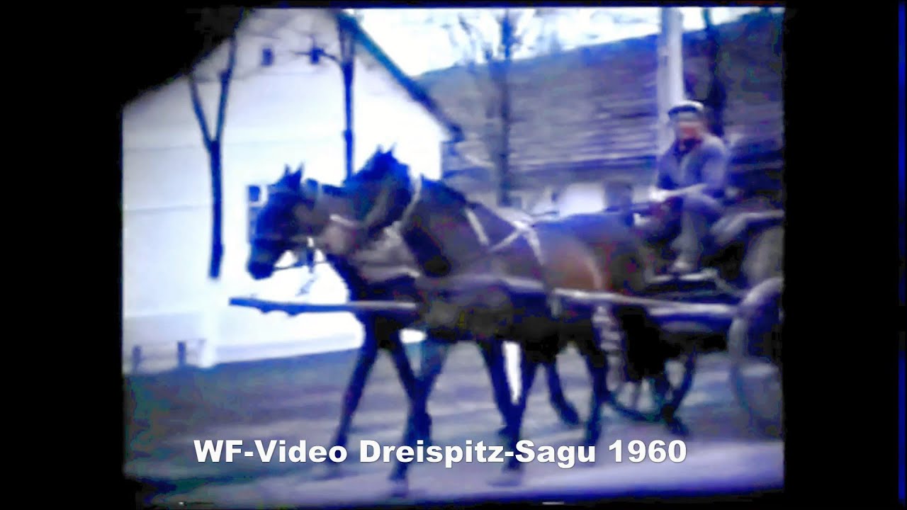 Dreispitz-Sagu 1960