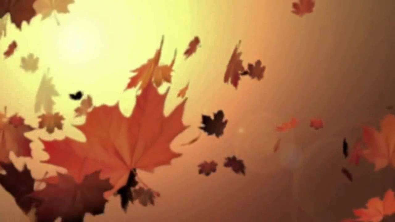 herfst bladeren buutpodium