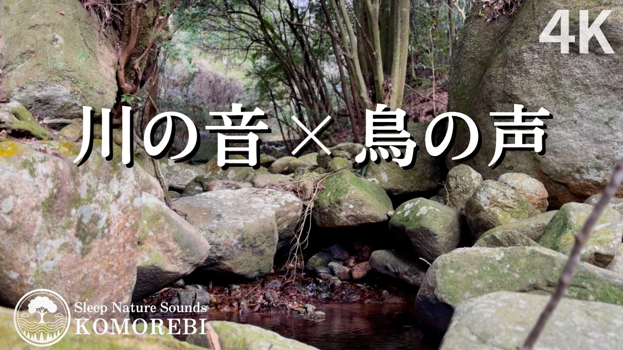 静かな川音と鳥のさえずり｜実録自然音・2時間（睡眠・作業・瞑想）River Sounds & Birds | 2Hours Natural Ambience