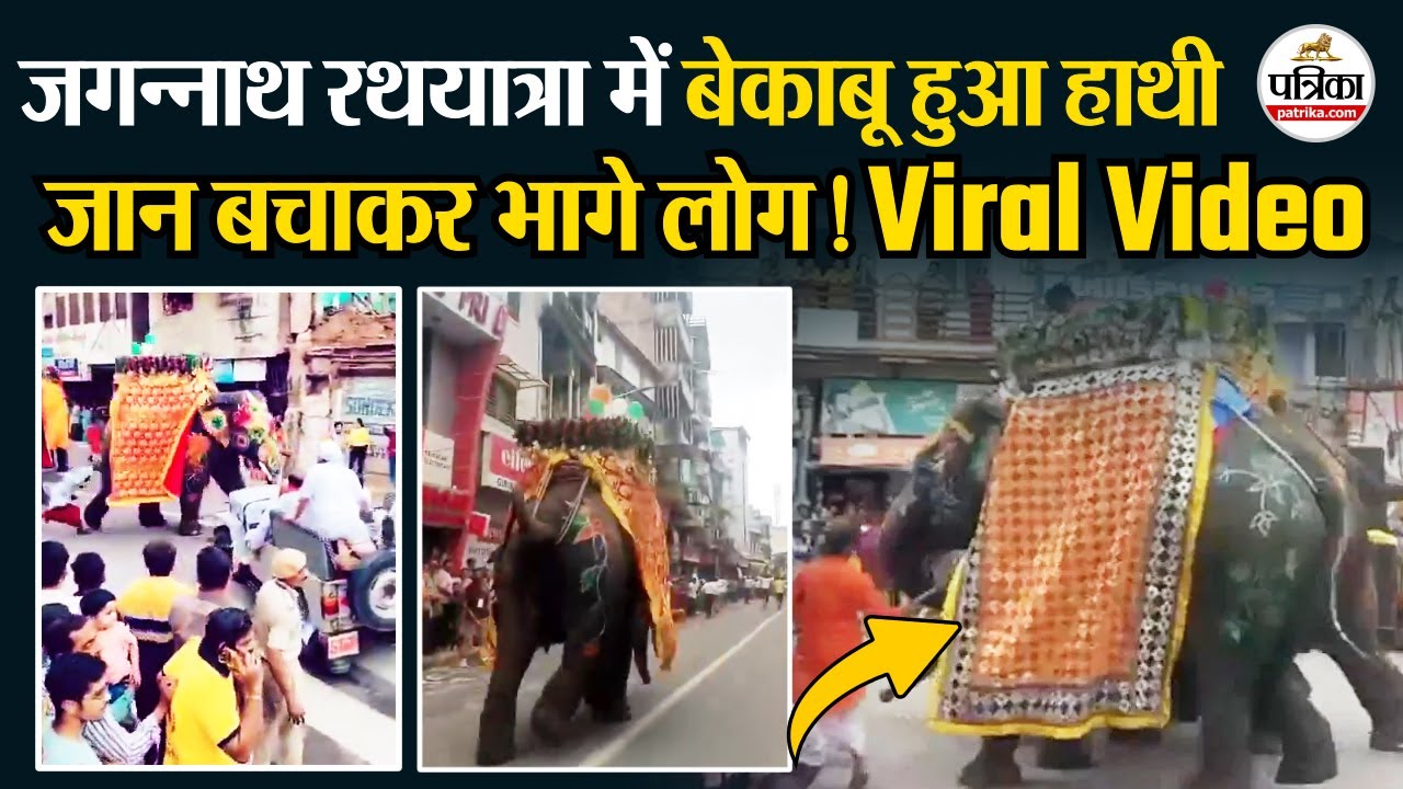 Jagannath Rath Yatra 2025: रथयात्रा में हाथी बेकाबू,भागे लोग!| Ahmedabad Stampede| Elephant Video