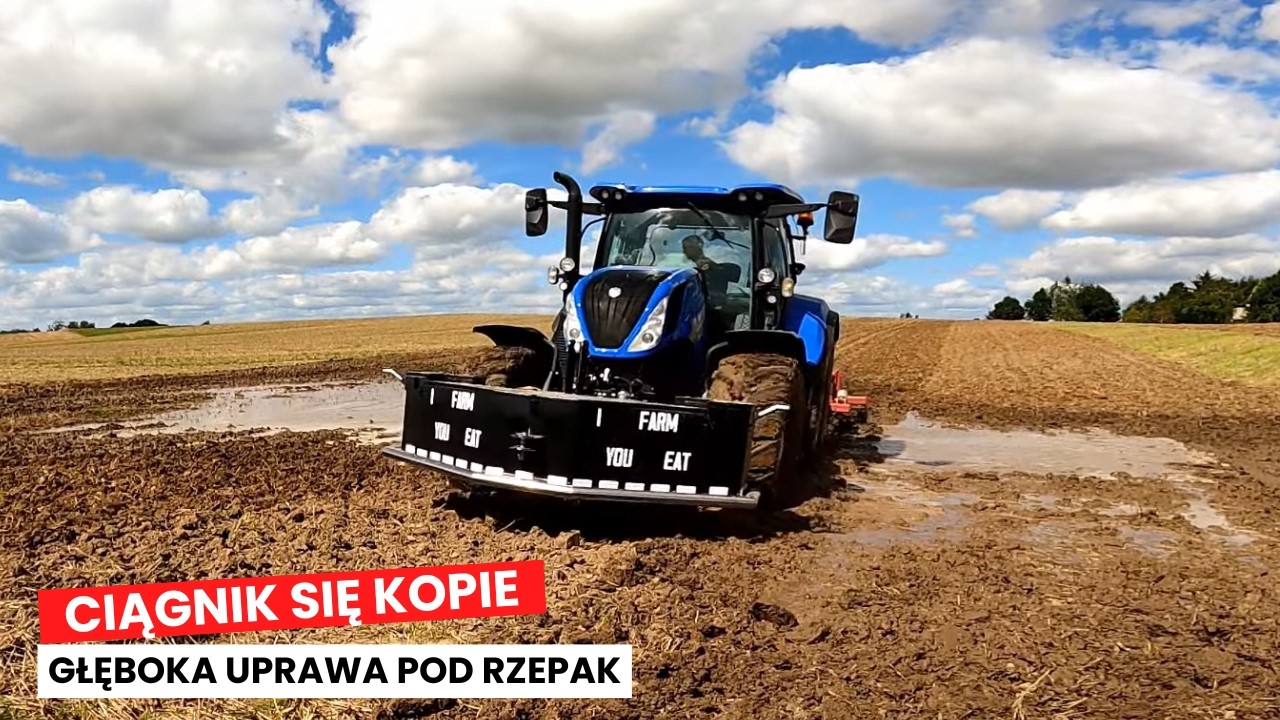 Głęboka uprawa bezorkowa Kongskilde Delta, pod 30ha rzepaku po nawałnicach
