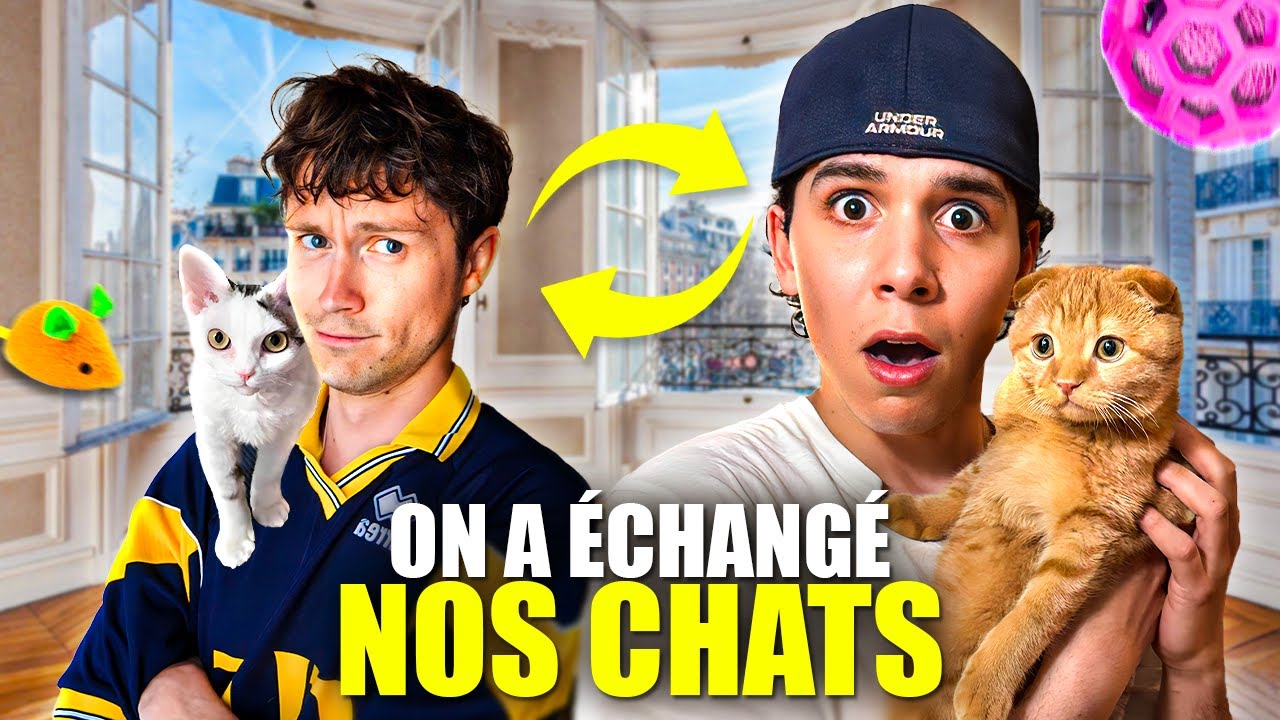 ON &Eacute;CHANGE NOS CHATS PENDANT 24H !