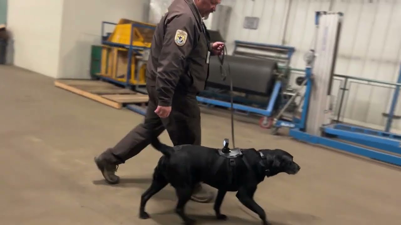 Dock's Day on the Job