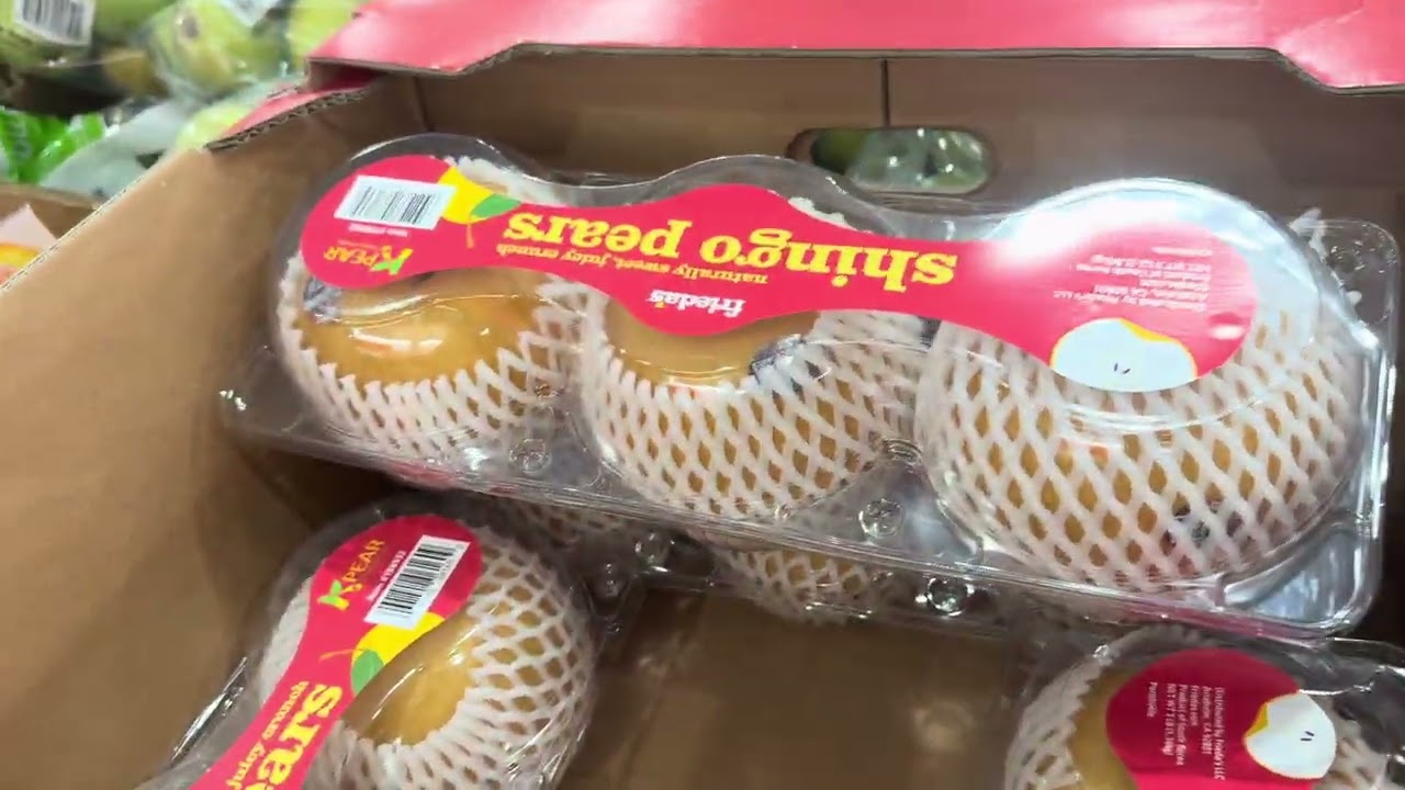 Let’s Go to Costco! Come Shop With Me + Haul 