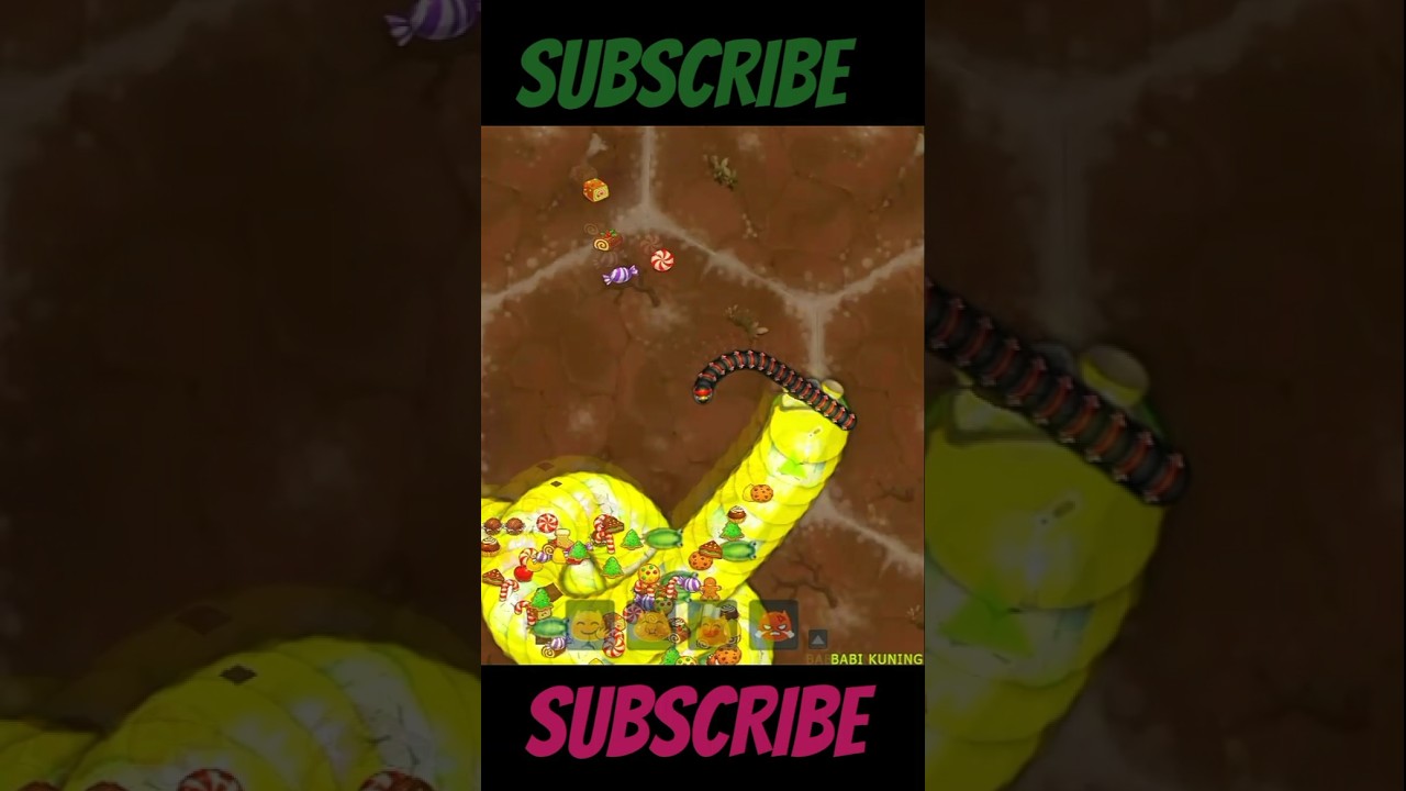 little big snake 🐍 