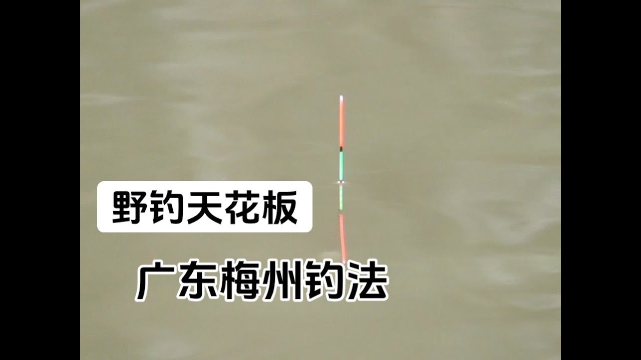 调漂：“梅州钓法”调漂方法全过程！钓友堪称野钓天花板！！ #钓鱼只有钓鱼人懂 #钓鱼人就是这么疯狂 #钓鱼人的生活