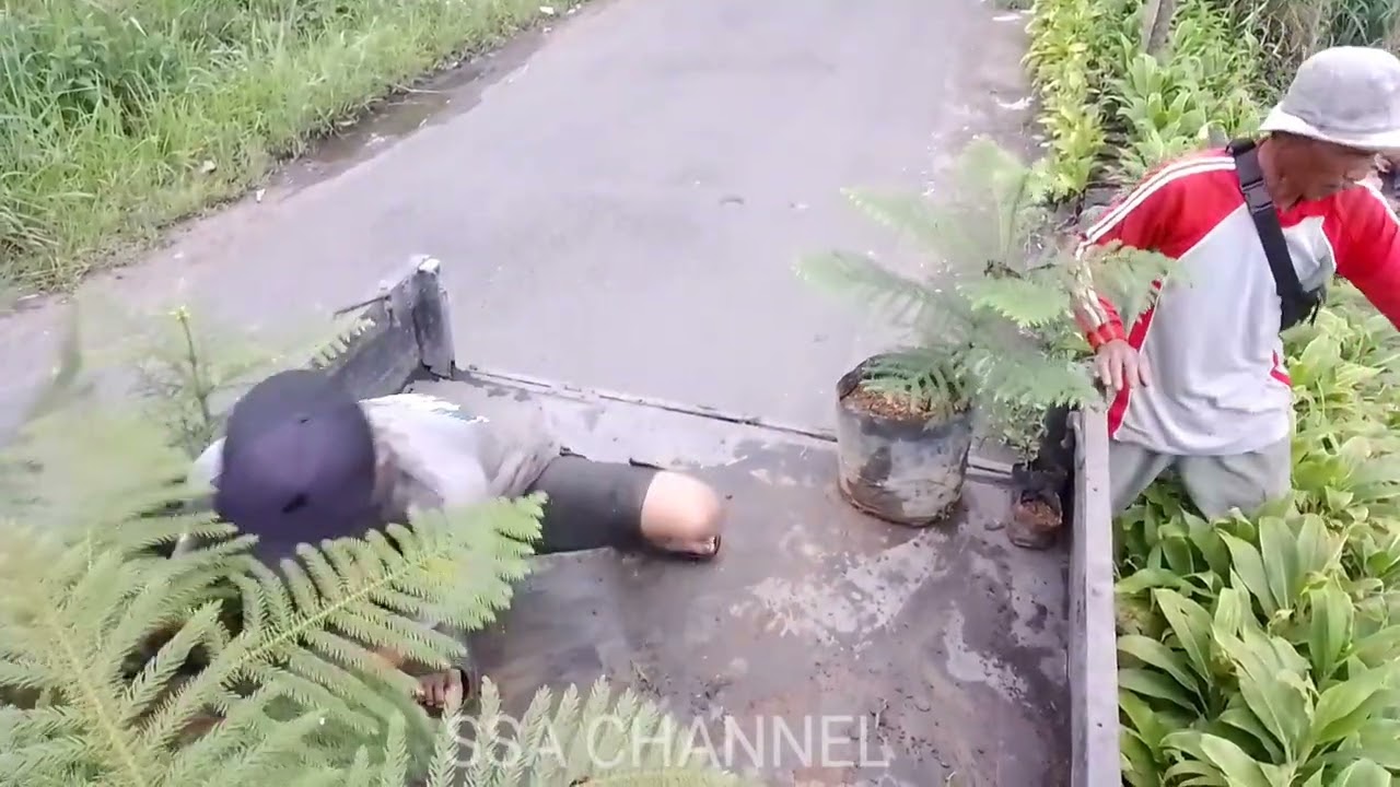 Aktifitas Sehari-hari Crew Abah Vloger Di Warles 1,2&3