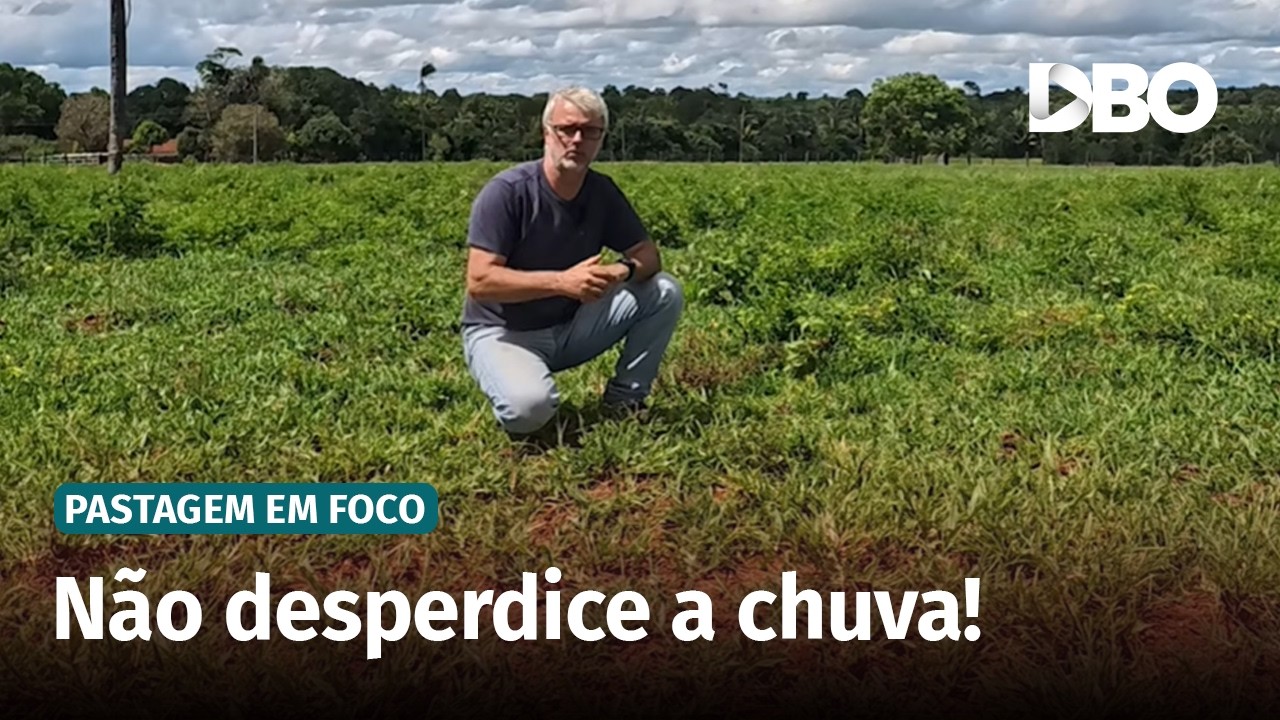 Qual o melhor momento para estabelecer pastagem?