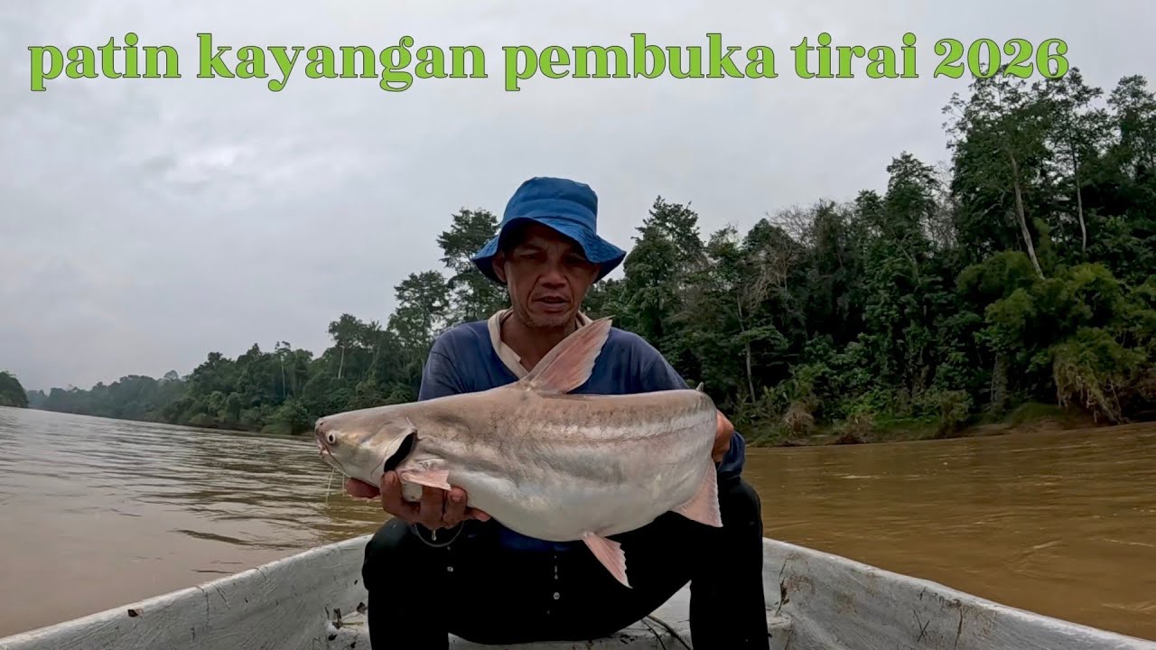 Patin kayangan pembuka tirai 2026