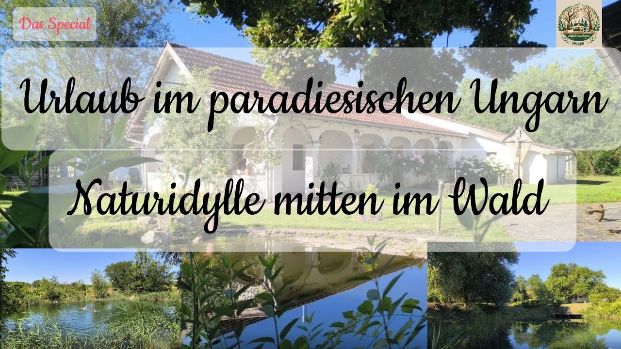 Unser #ALLTAG 🙏 Paradiesisches #Ungarn-#Urlaub fernab von #Stress und #Trubel.🏚️🌳🌲 🙏🇭🇺