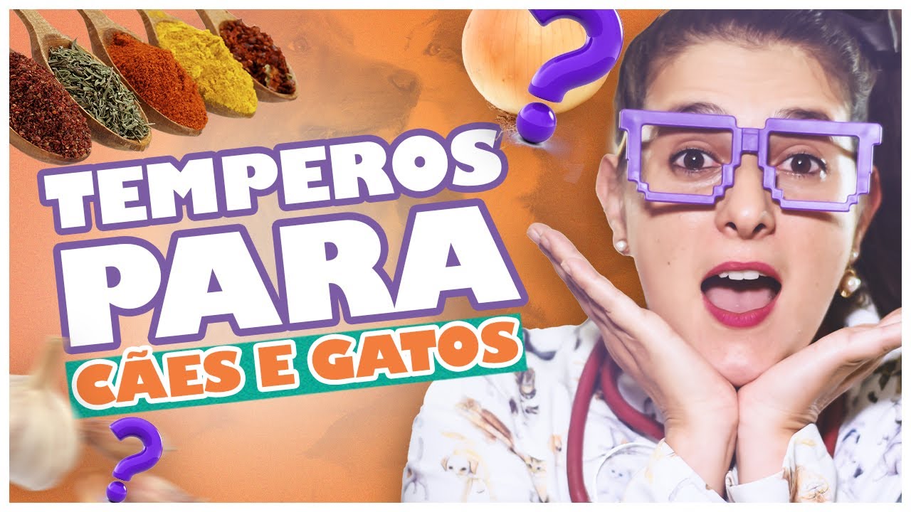 QUAIS TEMPEROS POSSO USAR NA ALIMENTAÇÃO DE CÃES E GATOS. Com Dra Carolina Sant`Anna Vet Gourmet.