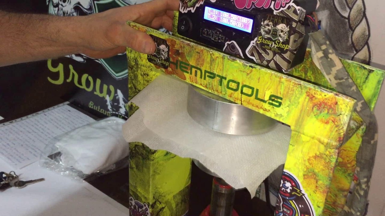 rosin blueberry