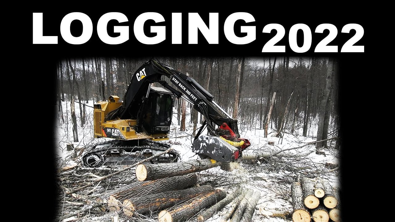 LOGGING A CLEAR CUT - Modern Lumberjacks