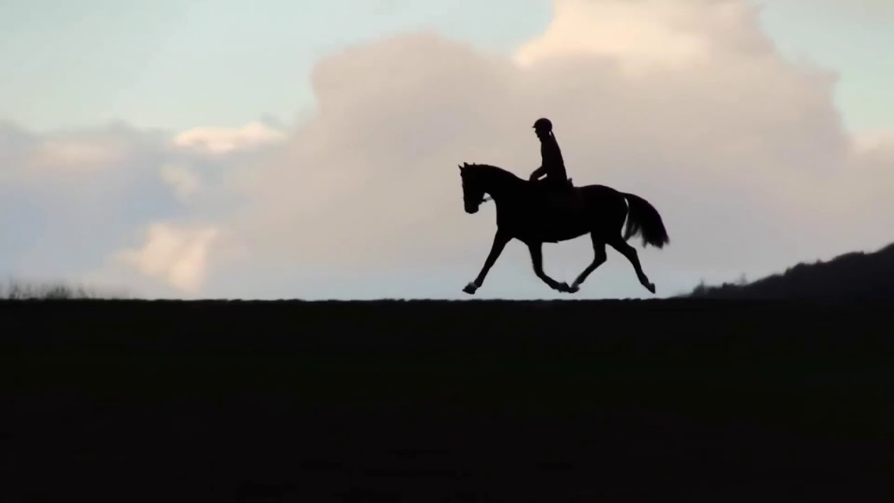 ❥ Heart Horse - Jenny & Catchy