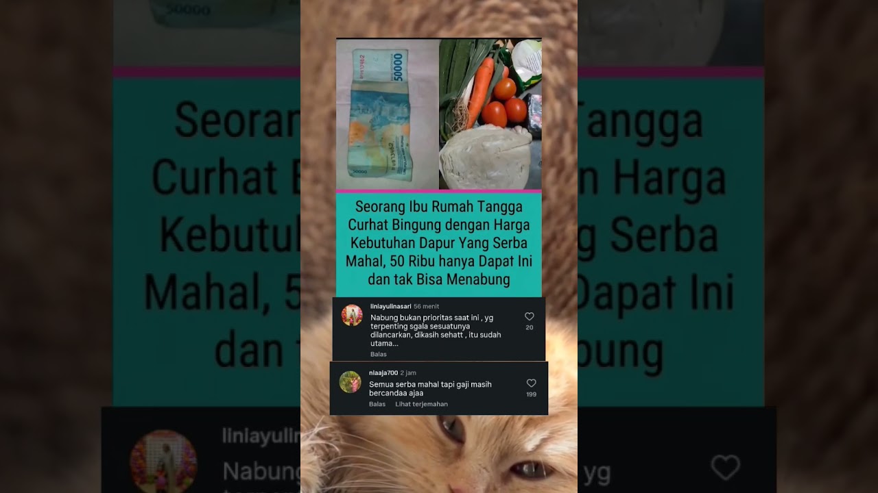 50rb dapet apa aja? 😭 | berita viral | berita terbaru hari ini ✨