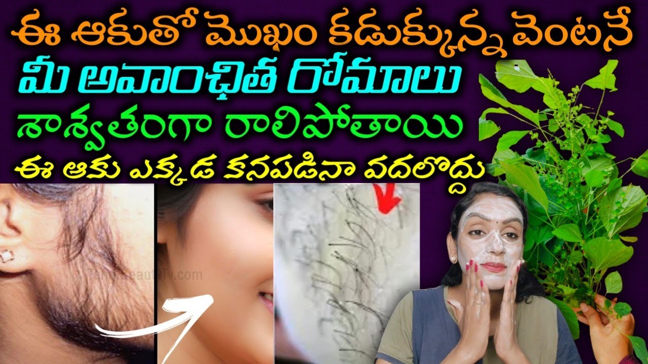 🔥నేను చాలెంజ్ చేసి చెప్తున్నా శాశ్వతంగా అవాంఛిత రోమాలు ఈ ఆకుతో మొఖం కడుక్కుంటే రాలిపోతాయి | 😲 result
