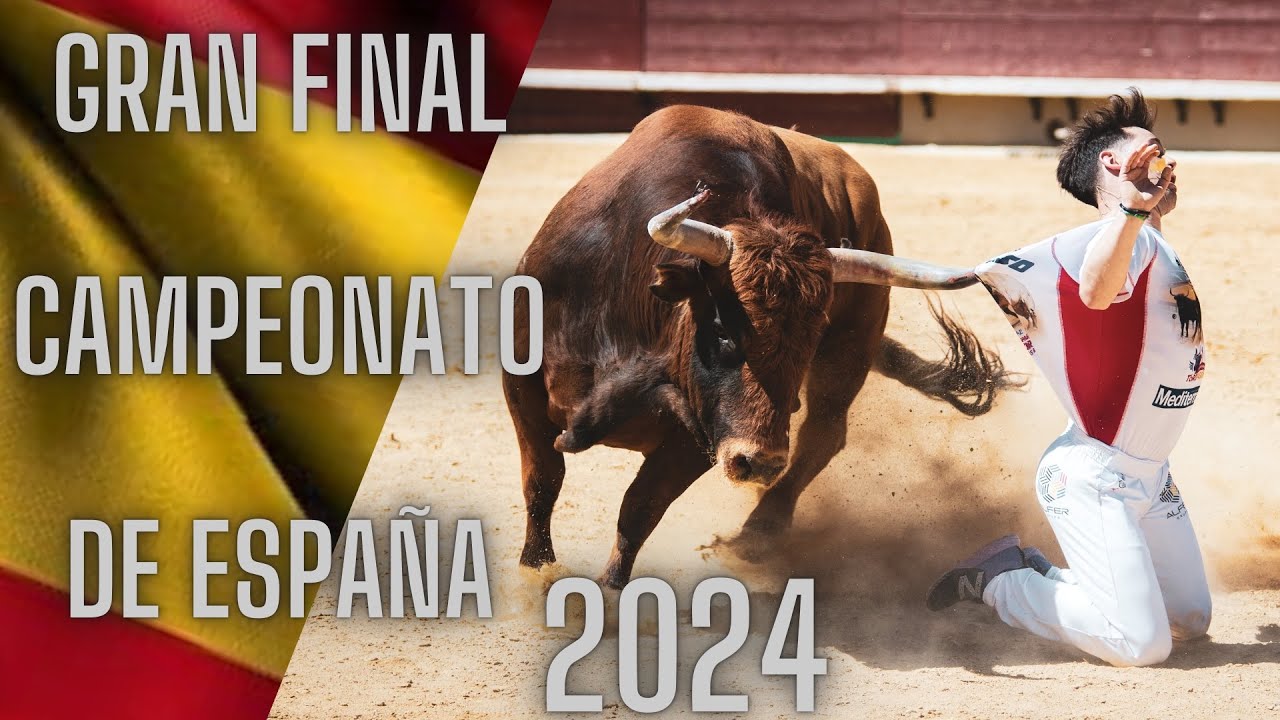 4K GRAN FINAL CAMPEONATO DE ESPA&Ntilde;A DE RECORTADORES CON TOROS BRAVOS 2024 (CASTELL&Oacute;N)