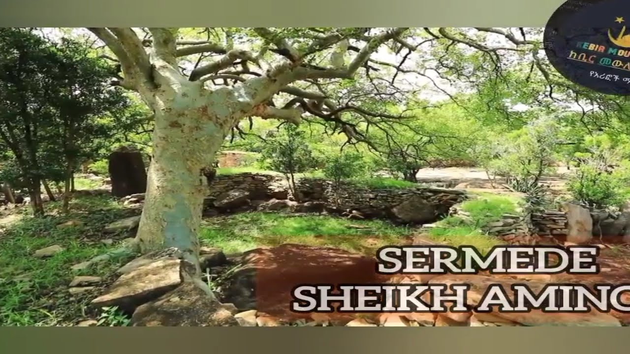 #baro #baroo sheikh Aminoo //Baroo sermede// #ባሮ ሰርመዴ ሼኽ አሚኖ በከቢር ነጂብ ሙሀመድረሺድ ሀድራ #2026