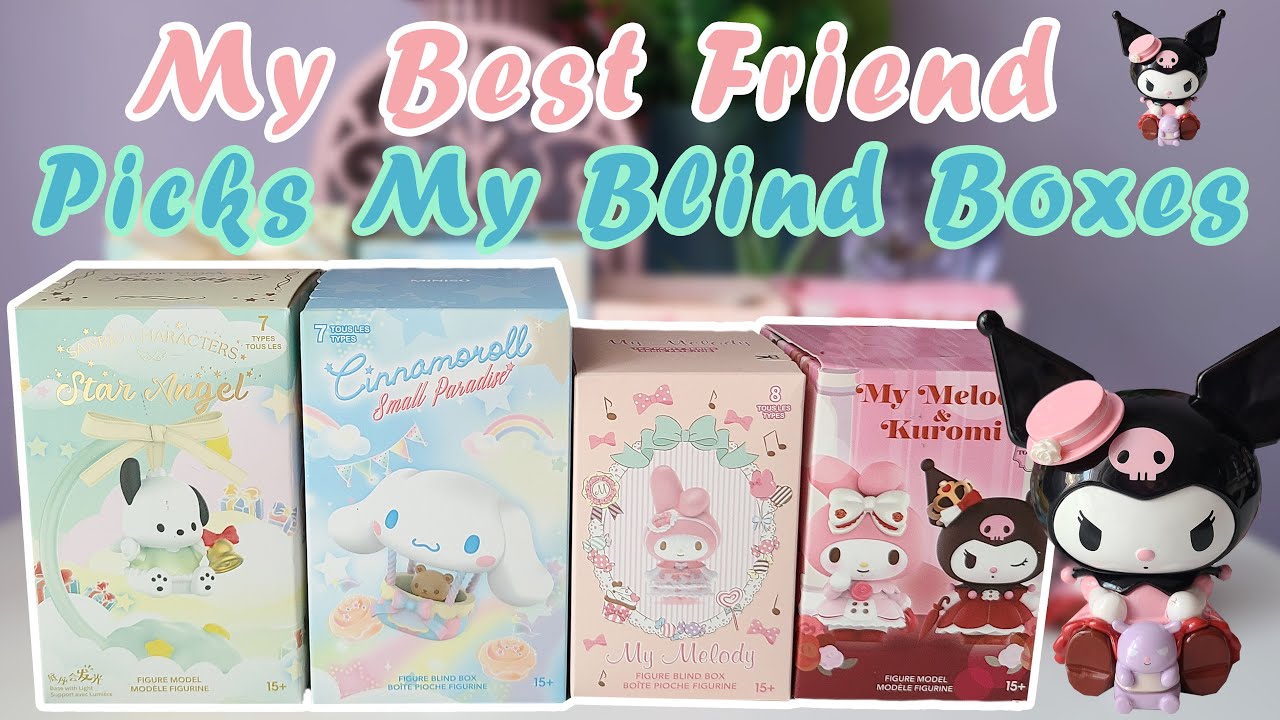 My Best Friend Picks My Sanrio Characters Blind Boxes from Miniso (Birthday Present Edition)