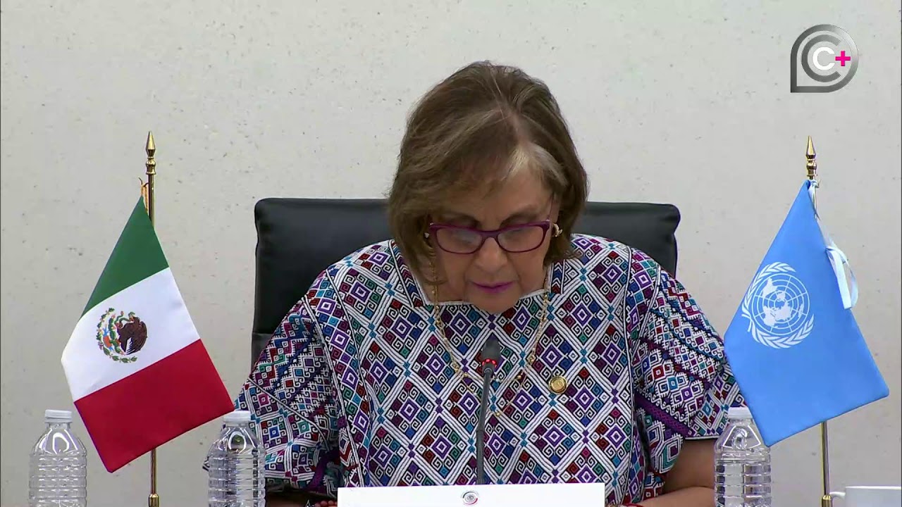 Reunión de la Comisión para la Igualdad de Género, del 18 de febrero de 2026