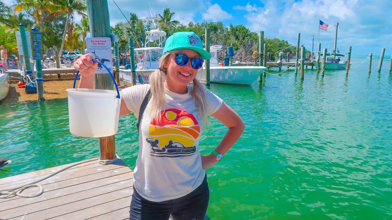 Feeding Tarpon in the Florida Keys! Islamorada & Key Largo Day Trip from Miami, FL