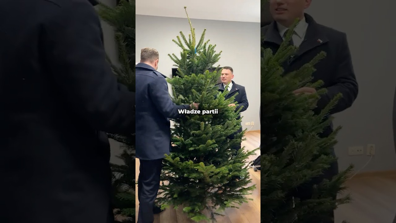 Jaka powinna być choinka? :)
