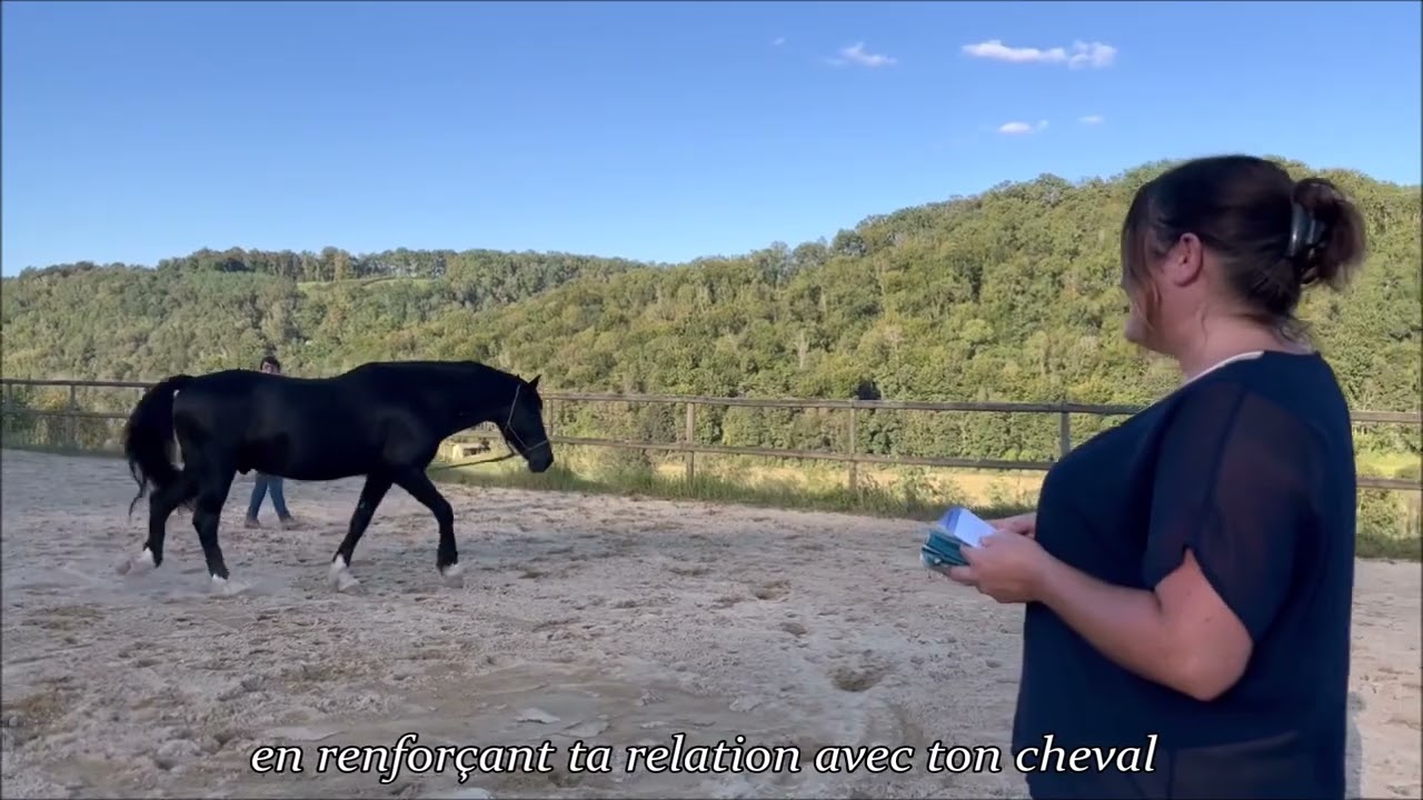 ETHO’LAU - UN JEU DE CARTES DE 200 EXERCICES À FAIRE AU SOL AVEC TON CHEVAL